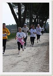 Fargues 15.02.09 3 400 * 320 x 480 * (85KB)